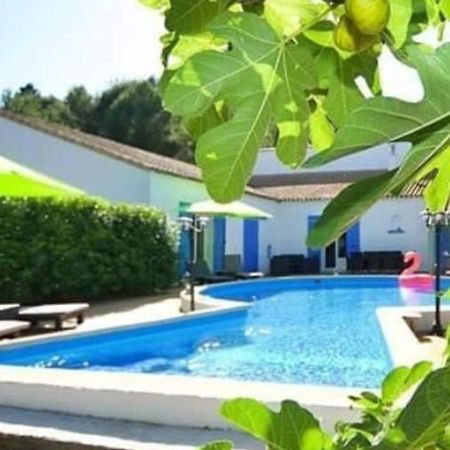 La Villa Du Menhir Chambre D'Hotes Bize-Minervois Zewnętrze zdjęcie