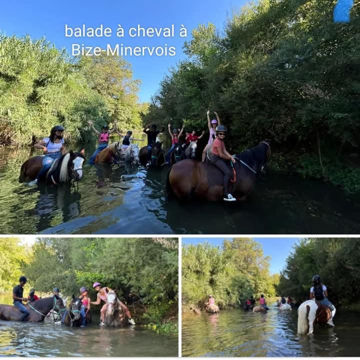 La Villa Du Menhir Chambre D'Hotes Bize-Minervois Zewnętrze zdjęcie